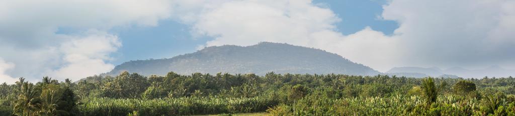 The Coconut Gardens Hotel&restaurant 3* Tissamaharama